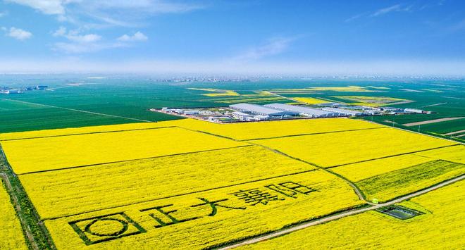 正大全产业链溯源之旅圆满收官pg电子试玩从农场到餐桌——(图2)