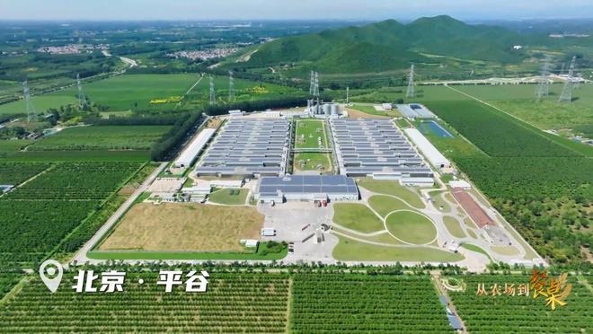 正大全产业链溯源之旅圆满收官pg电子试玩从农场到餐桌——(图5)